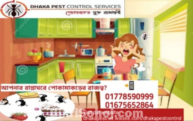 Pest Control Services